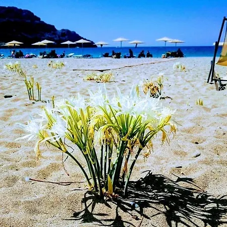 Annamaria Sea Side View Studio- 25m From The Beac Plakias